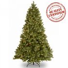 A144181 Vickerman Elk Frasier Fir 734205325698