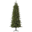 A145956led Vickerman New 5.5 X 734205328262