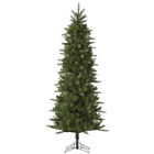 A145965 Vickerman New 6.5 Unlit 734205328286