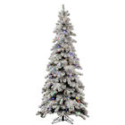 55g40 A146871led Vickerman New 7 X 734205328606