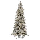A146881led Vickerman Flocked Kodiak Pre-lit 734205328637