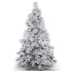 A155280 Vickerman New 9 X 734205383650