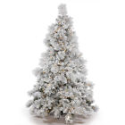 A155281 Vickerman New 9 X 734205383667