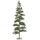 A162146 Vickerman Mountain Pine Christmas 734205405468