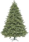 A163046 Vickerman 4.5 Idaho Frasier 734205406434