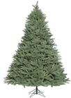 A164255 Vickerman 5.5 Colorado Spruce 734205407653