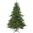 A801665 Vickerman New 6.5 Unlit 734205063132