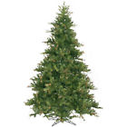 A801683 Vickerman Green Mixed Country 734205063200