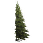 A803965 Vickerman New 6.5 Unlit 734205034651