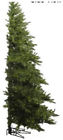 A803975 Vickerman 7.5 Westbrook Pine