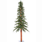 A805191 Vickerman New Unlit 60 734205334638