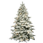 A806384 Vickerman Flocked Alaskan 9-foot 734205044292