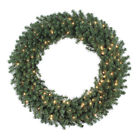 A808848 Vickerman 48-in Pre-lit Douglas 734205038536