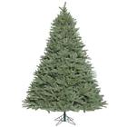 A860985 Vickerman Camdon Fir Green 734205109304