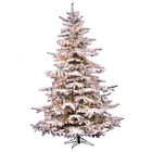 A861886 Vickerman Flocked Sierra Fir 734205107577