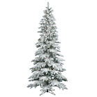 A895066 Vickerman New 6.5 X 734205161005