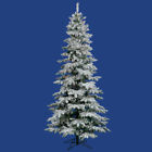 A895077led Vickerman Flocked Utica Fir 734205186022