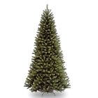 B00gkdel8i National Tree Company Christmas 5723835143869