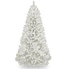 B00ms7vt4o National Tree Company North 8944634662109