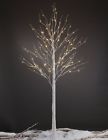 B00npqhm4s Christmas Birch Tree 8 689287308247