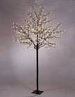 B01g2s7j02 Akari 8ft Tall Cherry 6936079883296