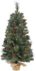B155621 Vickerman 24 Wesley Mixed 734205370544