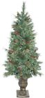 B168756 Vickerman 5.5 Potted Danbridge 734205408988