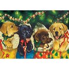 Bb8185x Home Kitchen Features Puppies 793631013982