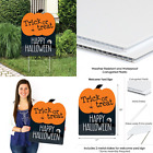 Bd4208ysw-gen Big Dot Of Happiness Trick Or Treat Outdoor 842576117894