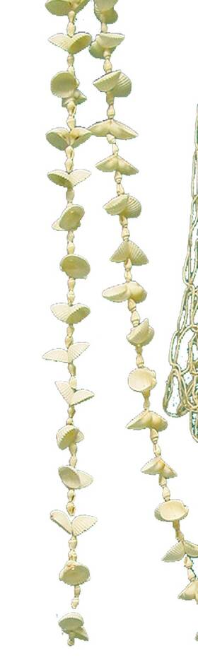 04511 Beachcombers Clamrose And Nassa Christmas Tree Garland Natural Shells 9 Foot