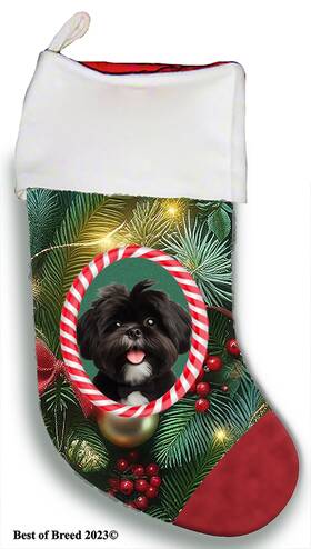 Bb08011 Best Of Breed Shih Tzu Holiday Christmas Stocking
