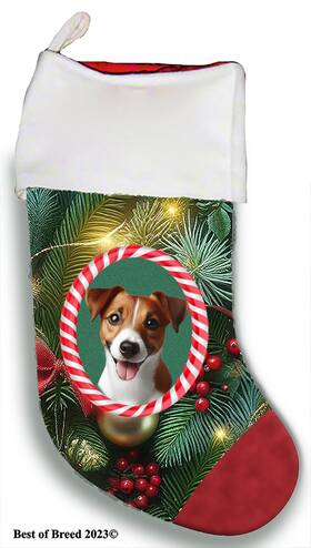Bb08024 Best Of Breed Jack Russell Terrier Holiday Christmas Stocking