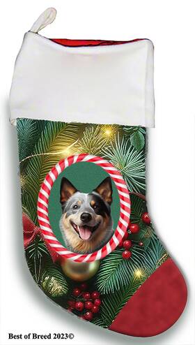 Bb08072 Best Of Breed Australian Cattle Dog Holiday Christmas Stocking