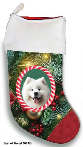 Bb08077 Best Of Breed Samoyed Holiday Christmas Stocking