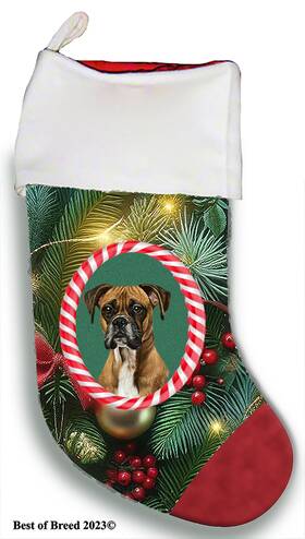 Bb08149 Best Of Breed Boxer Holiday Christmas Stocking