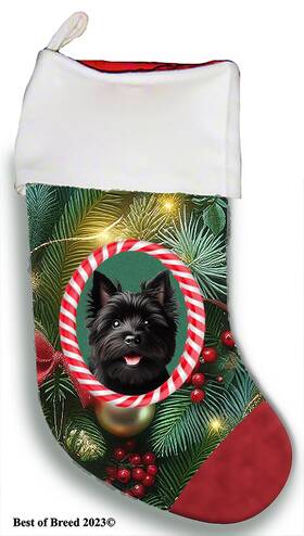 Bb08188 Best Of Breed Cairn Terrier Holiday Christmas Stocking