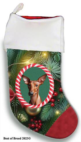 Bb08473 Best Of Breed Pharoah Hound Holiday Christmas Stocking
