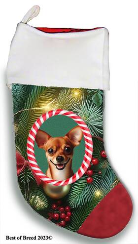 Bb08483 Best Of Breed Chiweenie Holiday Christmas Stocking