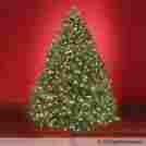 Bg-57ctf-090jla8-mw Hammacher Schlermmer The Worlds Best Prelit Fraser Fir 7.5 Full Led Artificial Christmas Tree