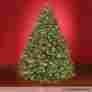 Bg-57ctm-102jla1 Hammacher Schlemmer The Worlds Best Prelit Fraser Fir 8.5 Full Led White Color Christmas Tree