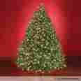Bg-57ctp-102jla1-mw Hammacher Schlemmer The Worlds Best