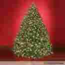 Bg-57ctp-114jla1-mw Hammacher Schlemmer 9.5 Slim White Led Worlds Best Prelit Fraser Fir Christmas Tree