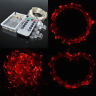 Bzsstg20487 Elcpark 10m 100leds Red 014834207290