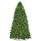 C-100298 Autograph Foliages 16.5 Ft