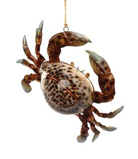 Orn71857 C & F Enterprises Crab Natural Cowry Shell Christmas Holiday Ornament 5.75 Inches