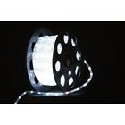 C-rope-led-pw-1-10 Christmas At Winterland Pure