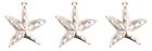 C010l Tim Carved Wooden Whitewashed Coastal Starfish Ornaments Set 653987092843