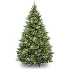 Cap3-306-90 National Tree Company 9