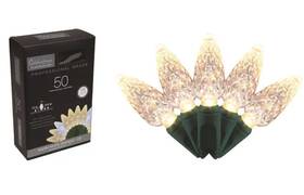 C650wwsa Celebrations Christmas String Lights C6 Led 50-ct 25ft Ft Warm White