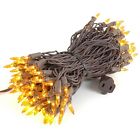 Cg100-bw-am Novelty Lights Brown Wire